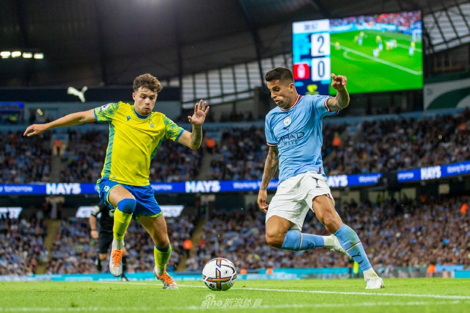 体育传奇梅 体育传奇梅